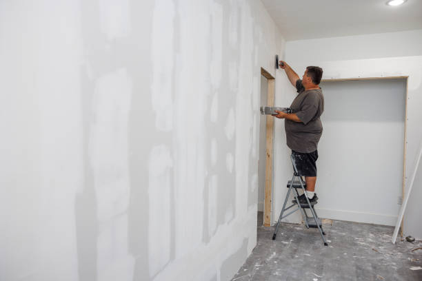 Best Black Mold Removal  in Brackettville, TX